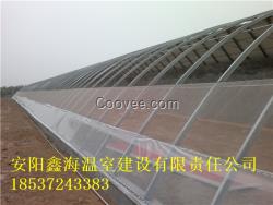 日光溫室建造棗樹大棚建設安陽鑫海溫室建造