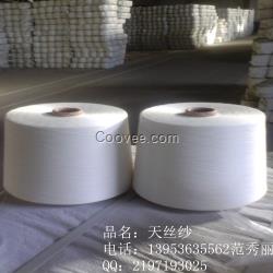 天絲棉混紡紗