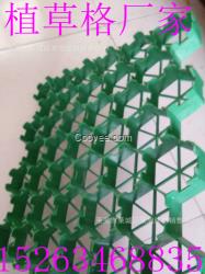 邢臺植草格廠家歡迎你