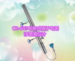 CR-603系列智能锅炉汽包液位计