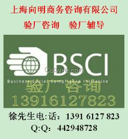 SGS驗廠輔導BSCI驗廠咨詢BSCI認