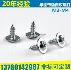 供應(yīng)半圓帶墊帶介自攻螺絲