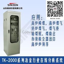 知名爐氣分析儀廠家價格TK-3000型電