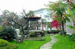 云南園林景觀設計公司|德宏園林景觀設計|