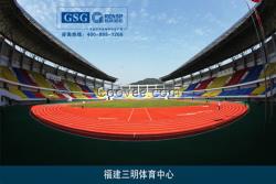 新國(guó)標(biāo)自結(jié)紋塑膠跑道設(shè)計(jì)及施工