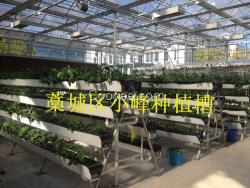 基質無土栽培種植槽 廠家