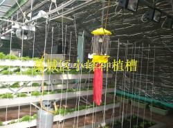 基質(zhì)無土栽培種植槽  價格