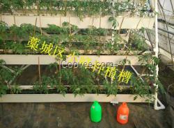 現(xiàn)代農(nóng)業(yè)立體式種植槽   價(jià)格
