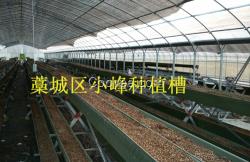 現(xiàn)代農(nóng)業(yè)無土栽培種植槽  價(jià)格