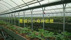 現(xiàn)代農(nóng)業(yè)立體式草莓種植槽   價(jià)格