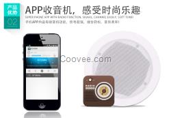 無線APP控制藍(lán)牙有源頂功放