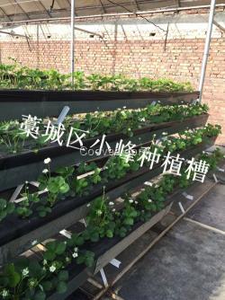 現(xiàn)代農(nóng)業(yè)立體式種植槽   廠家