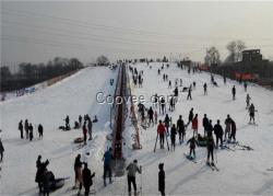 雪地魔毯 滑雪魔毯 諾泰克魔毯尺寸