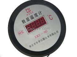 四川溫度計,華青儀表,手持溫度計