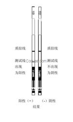 食品檢測試條_轉(zhuǎn)基因食品檢測試條_嘉惠萬