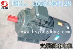 YVP/YVF變頻調速三相異步電動機G系