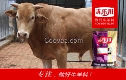 云南大牛育肥飼料預(yù)混料