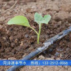 張家口花卉滴灌用滴灌管規格型號
