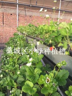 觀光種植槽廠家