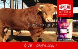 西門塔爾廋牛催肥飼料