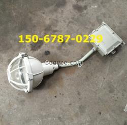 防水防尘防腐弯灯100W