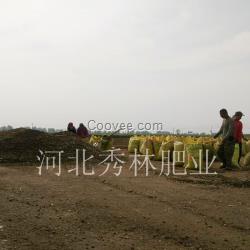 干雞糞有機肥廠家