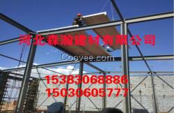 鋼骨架輕型板廠家,河北森瀚