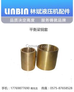 林斌液壓機(jī)配件(在線咨詢),天津銅套,銅