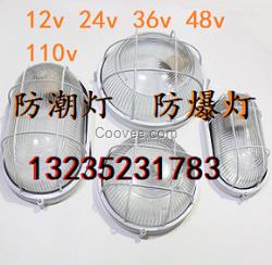 36v防潮燈