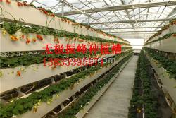 蔬菜種植槽廠家