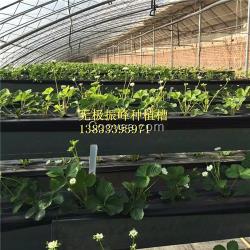 新疆蔬菜立體種植槽生產廠家