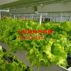 新疆草莓栽培槽生產(chǎn)廠家