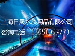 小型科普水族館 開個(gè)小型水底世界