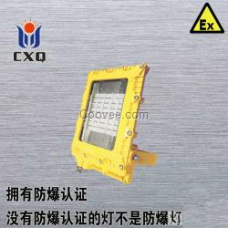 led防爆投光灯50w led防爆灯100w