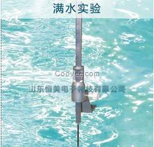 水位測(cè)針