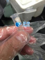 多樣品組織研磨儀研磨破碎眼結(jié)膜實(shí)驗(yàn)-上海凈信