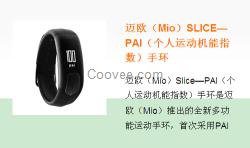 健康手環品牌在內地火熱招商銷售