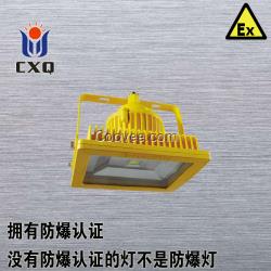 led防爆灯40w led防爆灯50w