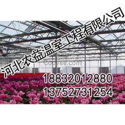 河北溫室設計-農益溫室廠家-河北溫室設計廠家直銷