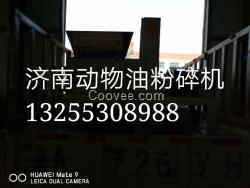 牛油渣处理设备榨油机器的摇篮