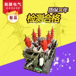 ZW8-12-630-31.5真空斷路器-祝捷電氣