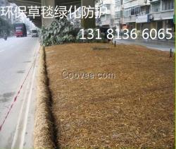 植物纖維毯固土綠化 生態毯 環保草毯 加筋椰絲毯 抗沖生物毯
