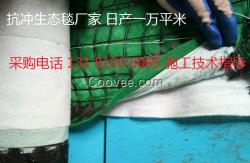 植物纖維毯水庫(kù)邊坡修復(fù) 抗沖生物毯椰絲毯 環(huán)保草毯 固土毯