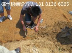 稻草植被毯 椰絲毯 環保草毯邊坡加固 抗沖生物毯 植物纖維毯