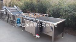 多功能果蔬清洗機(jī) 秋葵清洗機(jī) 氣泡清洗機(jī)