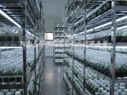 供應(yīng)嘉華利德植物組織培養(yǎng)實驗室