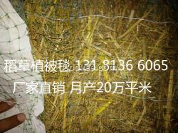 抗沖生態(tài)毯 植物纖維毯 環(huán)保草毯 稻草毯