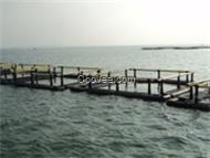大量供應(yīng) 養(yǎng)魚網(wǎng)箱成品 水產(chǎn)養(yǎng)魚網(wǎng)箱 養(yǎng)魚網(wǎng)箱定做