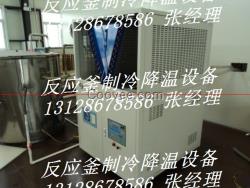 實(shí)驗(yàn)用反應(yīng)釜低溫冷水機(jī)|實(shí)驗(yàn)用反應(yīng)釜低溫冷凍機(jī)