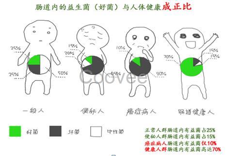 海益雅腸道健康必備，面向全國招商